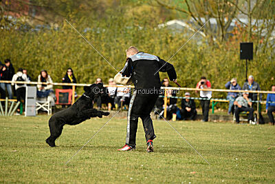 Adlheid vom Gleinalmblick