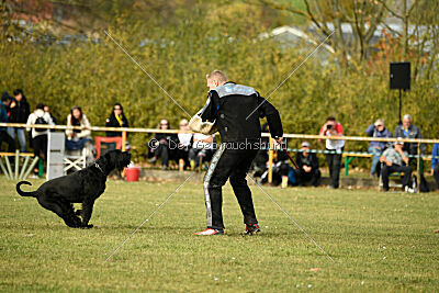 Adlheid vom Gleinalmblick