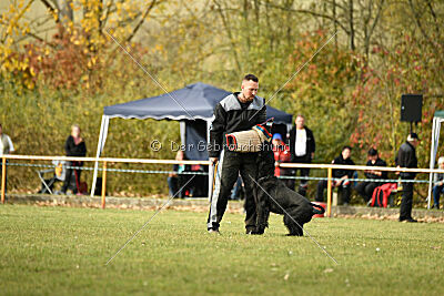 Adlheid vom Gleinalmblick