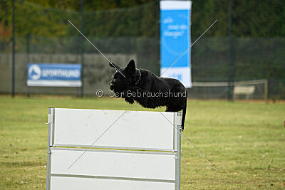 Adlheid vom Gleinalmblick