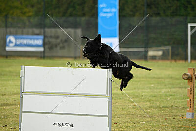 Adlheid vom Gleinalmblick