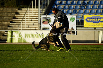 Admiral von Magna Pesna