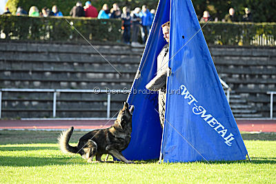 Admiral von Magna Pesna