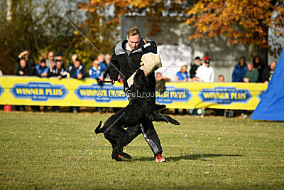 Afra con todos los santos