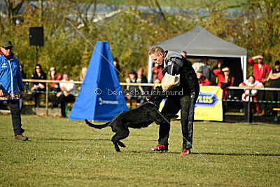 Afra con todos los santos