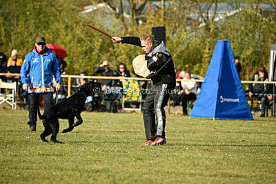 Afra con todos los santos