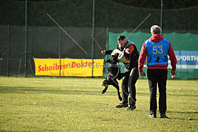 Afra con todos los santos