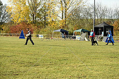 Afra con todos los santos