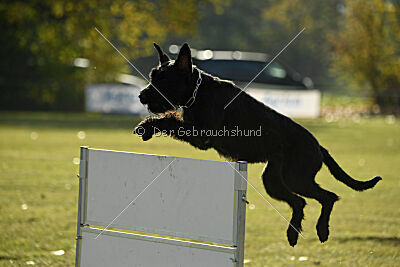 Afra con todos los santos
