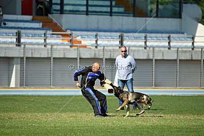 Aik vom Wolfsursprung