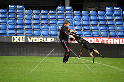 Aik vom Wolfsursprung