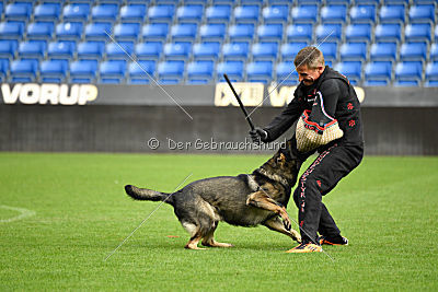 Aik vom Wolfsursprung
