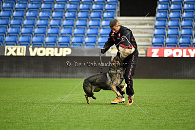Aik vom Wolfsursprung