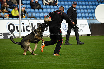 Aik vom Wolfsursprung