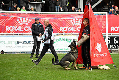 Aik vom Wolfsursprung