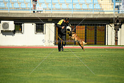 Aikido vom puren Leben