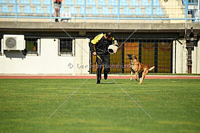Aikido vom puren Leben