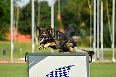 Aiko von der alten Stolzenburg