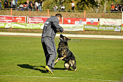 Aiko von der alten Stolzenburg