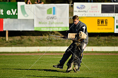 Aiko von der alten Stolzenburg
