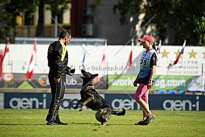 Aira Zapra z Kraje mandloni