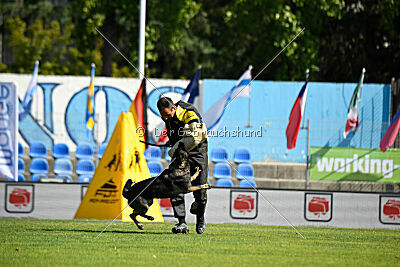 Aira Zapra z Kraje mandloni