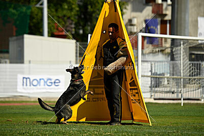 Aira Zapra z Kraje mandloni