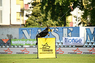 Aira Zapra z Kraje mandloni