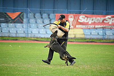 Aira Zapra z Kraje mandloní