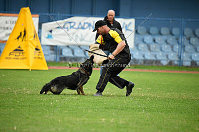 Aira Zapra z Kraje mandloní