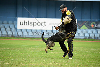 Aira Zapra z Kraje mandloní
