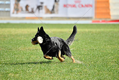 Airon von der Nilo World