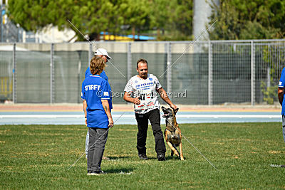 Aisen vom Schopperweg
