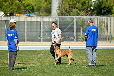 Aisen vom Schopperweg