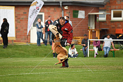 Aiven van de Twentehoeve