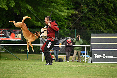 Aiven van de Twentehoeve