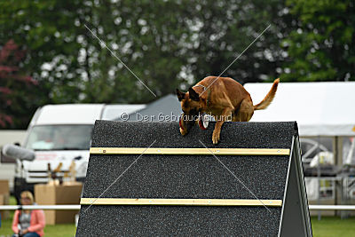 Aiven van de Twentehoeve