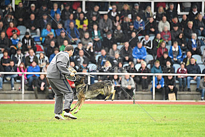 Ajahnique Magna Pesna