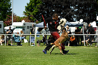 Akito von der Klassikerstadt