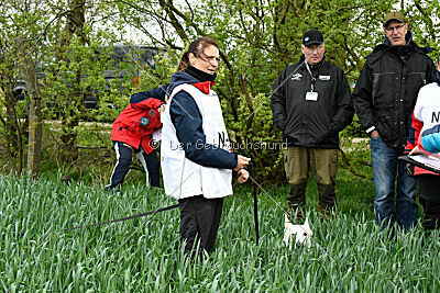 Albus Lupus Ul-Po Csilla