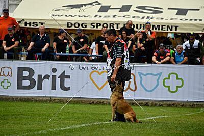 Alexa von der Lilienwiese