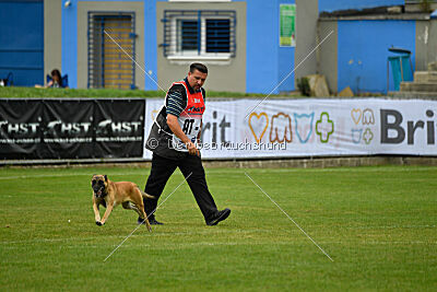 Alexa von der Lilienwiese