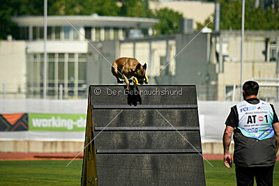 Alexa von der Lilienwiese