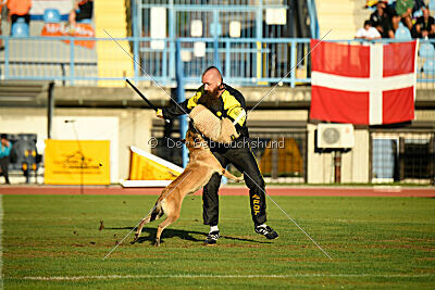 Alexa von der Lilienwiese