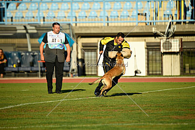 Alexa von der Lilienwiese