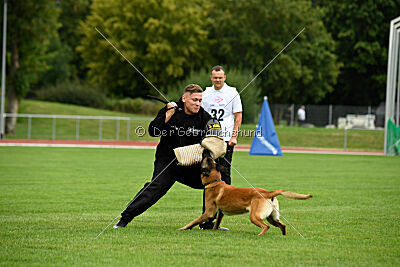 Alfred Airport Hannover