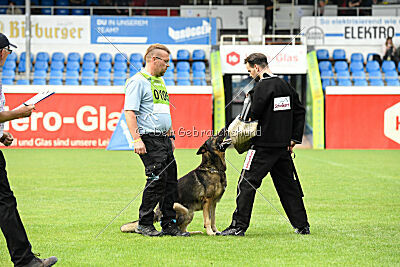 Alfred von den Wannaer Höhen