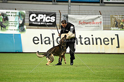 Alfred von den Wannaer Höhen