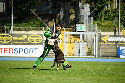 Alfred von den Wannaer Höhen