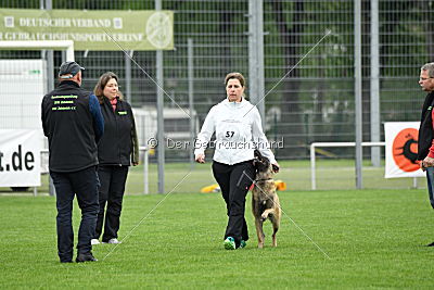 Alice vom Phönixblut